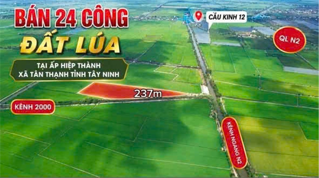 ĐẤT ĐẸP – ĐẦU TƯ SINH LỜI – CẦN BÁN 3 LÔ ĐẤT GIÁ TỐT – Ấp Hiệp Thành, Xã Tân Thạnh, Tây Ninh