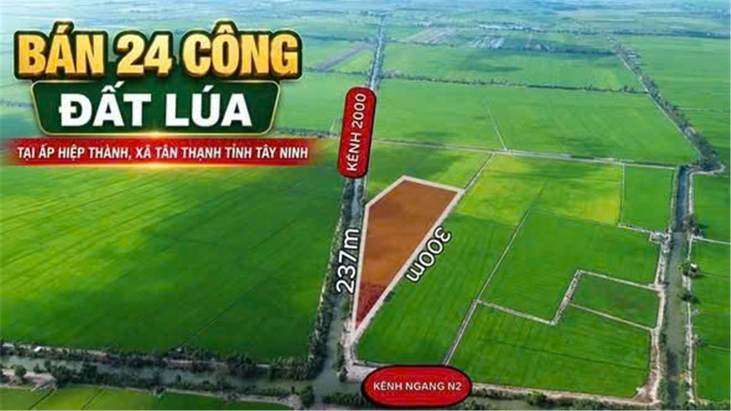 ĐẤT ĐẸP – ĐẦU TƯ SINH LỜI – CẦN BÁN 3 LÔ ĐẤT GIÁ TỐT – Ấp Hiệp Thành, Xã Tân Thạnh, Tây Ninh-4