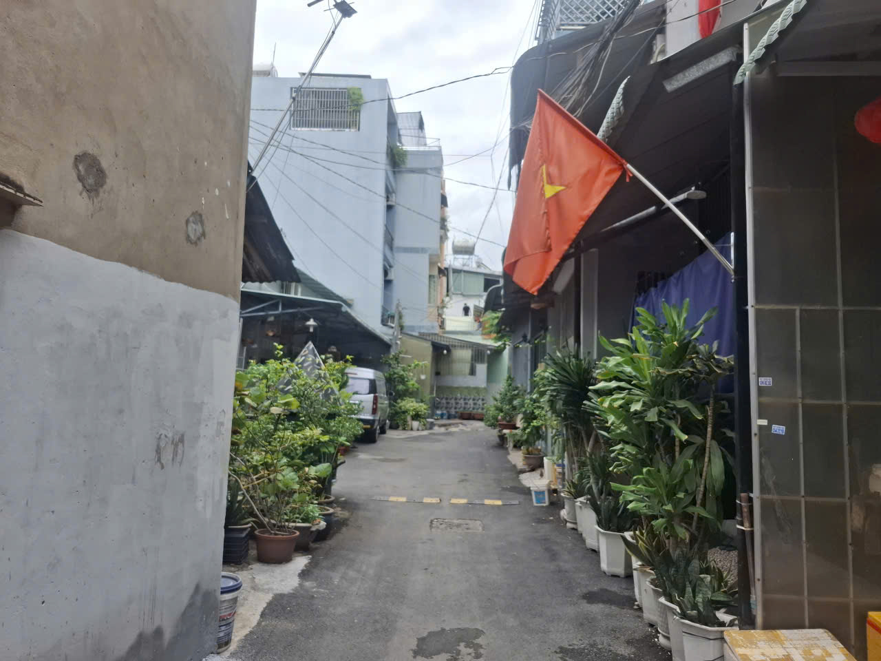 ✨ BÁN ĐẤT TẶNG NHÀ CẤP 4 PHAN HUY ÍCH – P.12, GÒ VẤP – 257m²