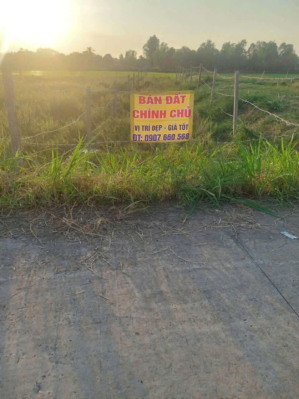 HOT HOT – CHÍNH CHỦ CẦN BÁN ĐẤT VỊ TRÍ ĐẸP  TẠI Xã Mỹ Thạnh Đông, Đức Huệ, Long An