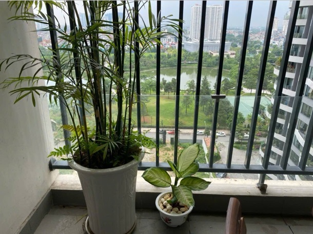 ⭐️Bán CHCC chính chủ view hồ cực đẹp tại N01-T5 Ngoại Giao Đoàn (P.Xuân Đỉnh, Hà Nội mới);-4