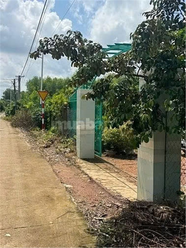 HOT HOT – CHÍNH CHỦ CẦN BÁN NHANH LÔ ĐẤT VỊ TRÍ ĐẸP TẠI Xã Phú Lý, huyện Vĩnh Cửu, Đồng Nai.