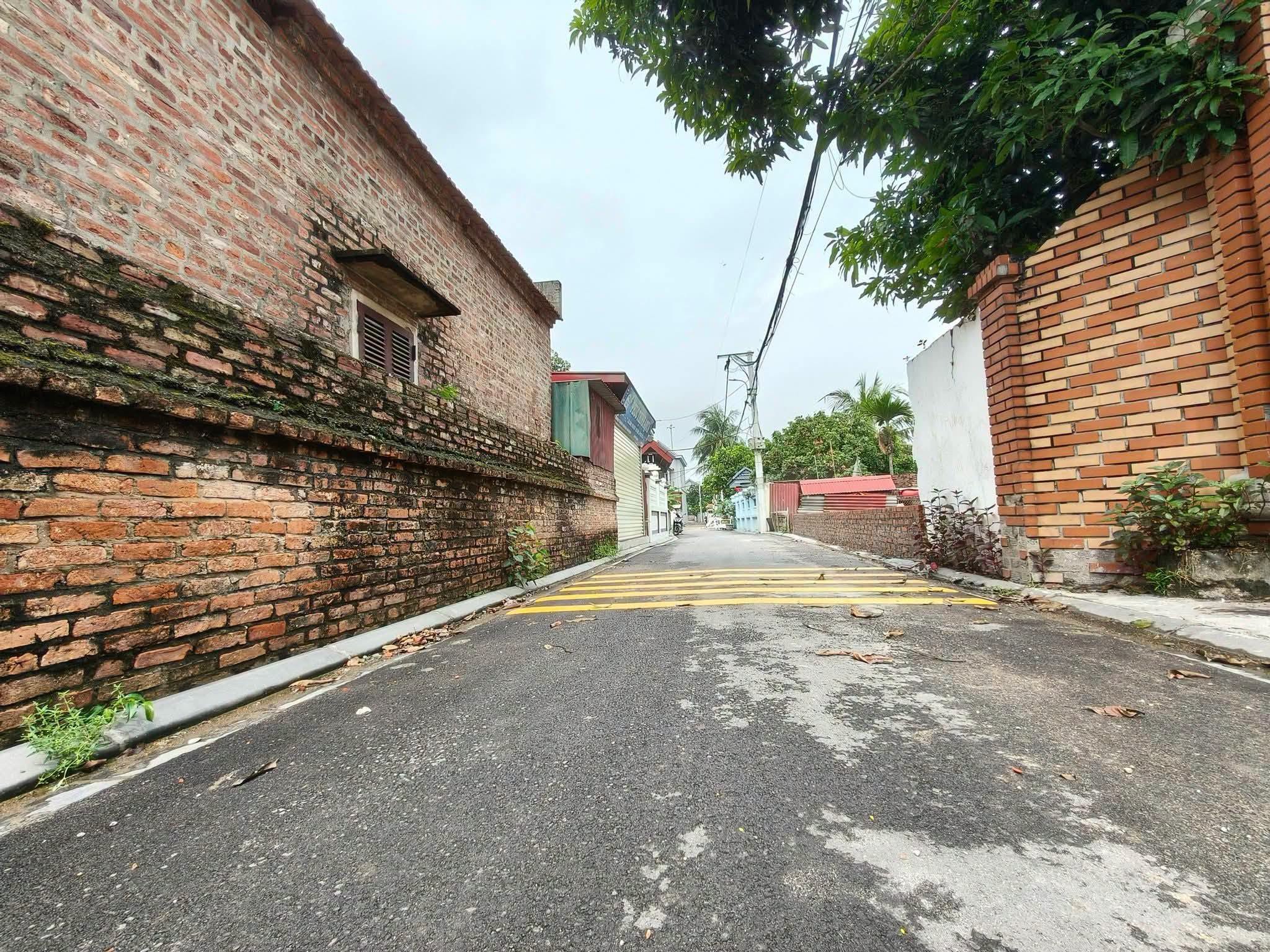 Chia đôi mà bán cả 184m2, mt11m, ô tô thông, 13.5 tỷ Nguyên Khê, Đông Anh.-3