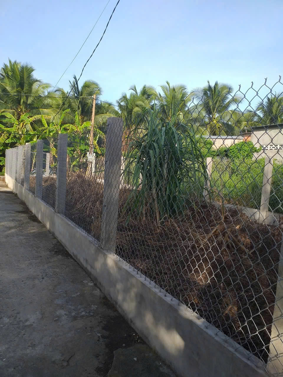 VỊ TRÍ ĐẸP - GIÁ TỐT - CHÍNH CHỦ BÁN ĐẤT THỔ CƯ Đường Nguyễn Thị Định, Phường Phú Khương, TP Bến Tre-4