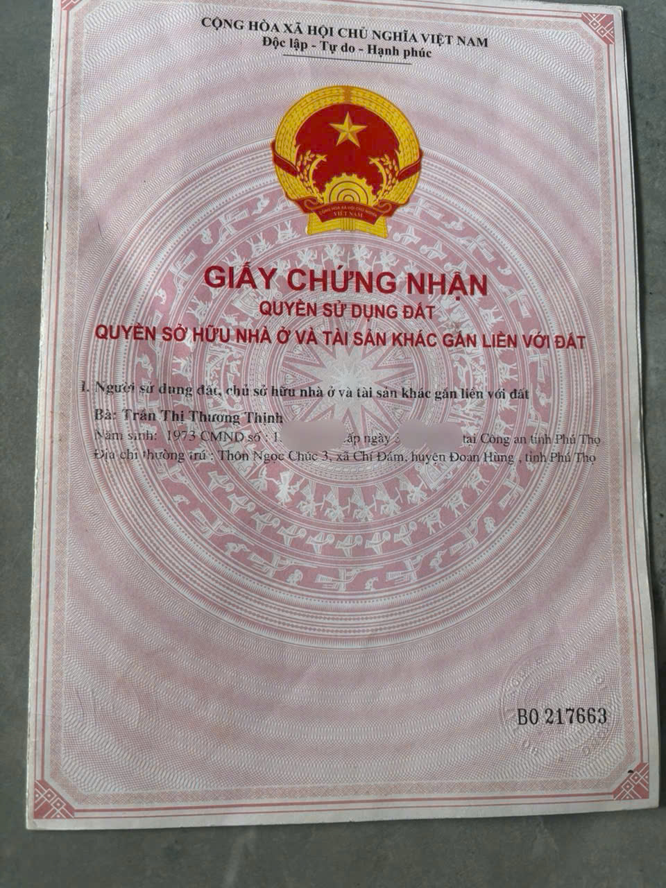 CHÍNH CHỦ CẦN BÁN ĐẤT – TÂY CỐC, ĐOAN HÙNG, PHÚ THỌ-1