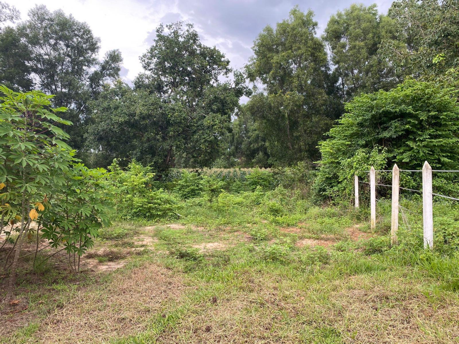 đất vườn 600m2 cần bán giá 800 triệu 