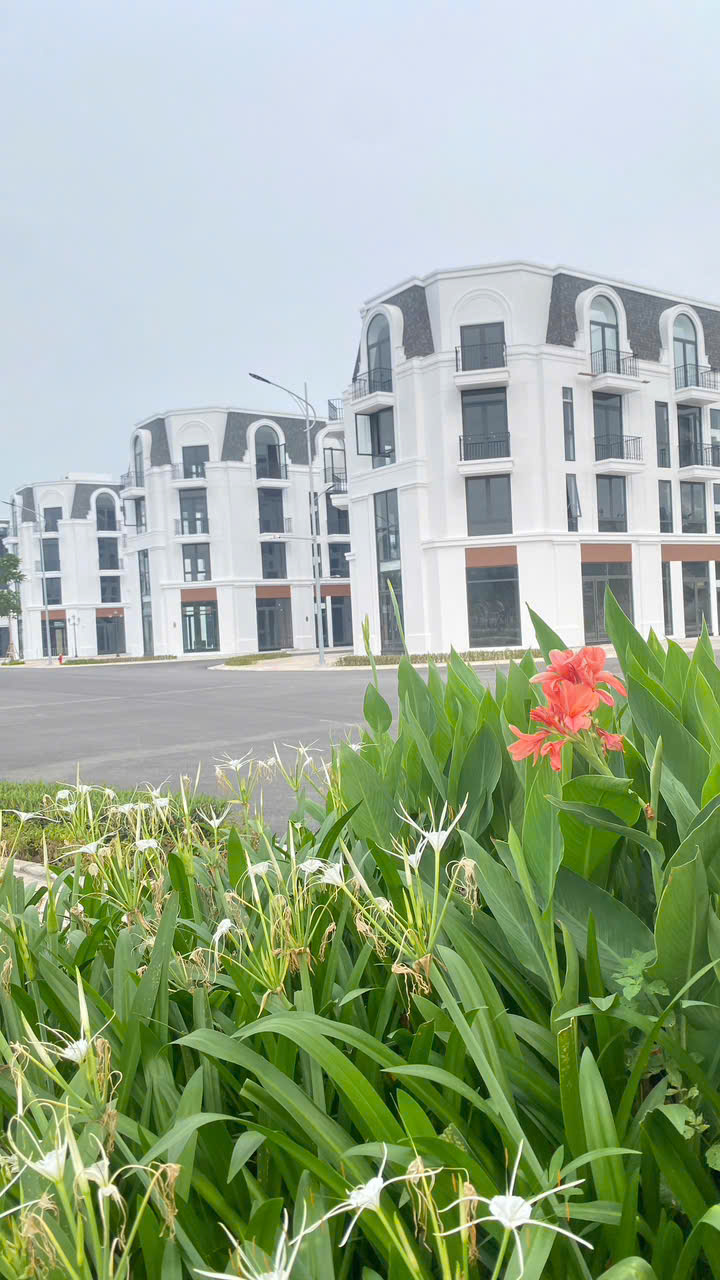  Chính chủ cần bán nhanh căn LK 62.5m² giá 4.5 tỷ  dự án Vlasta Thủy Nguyên -4