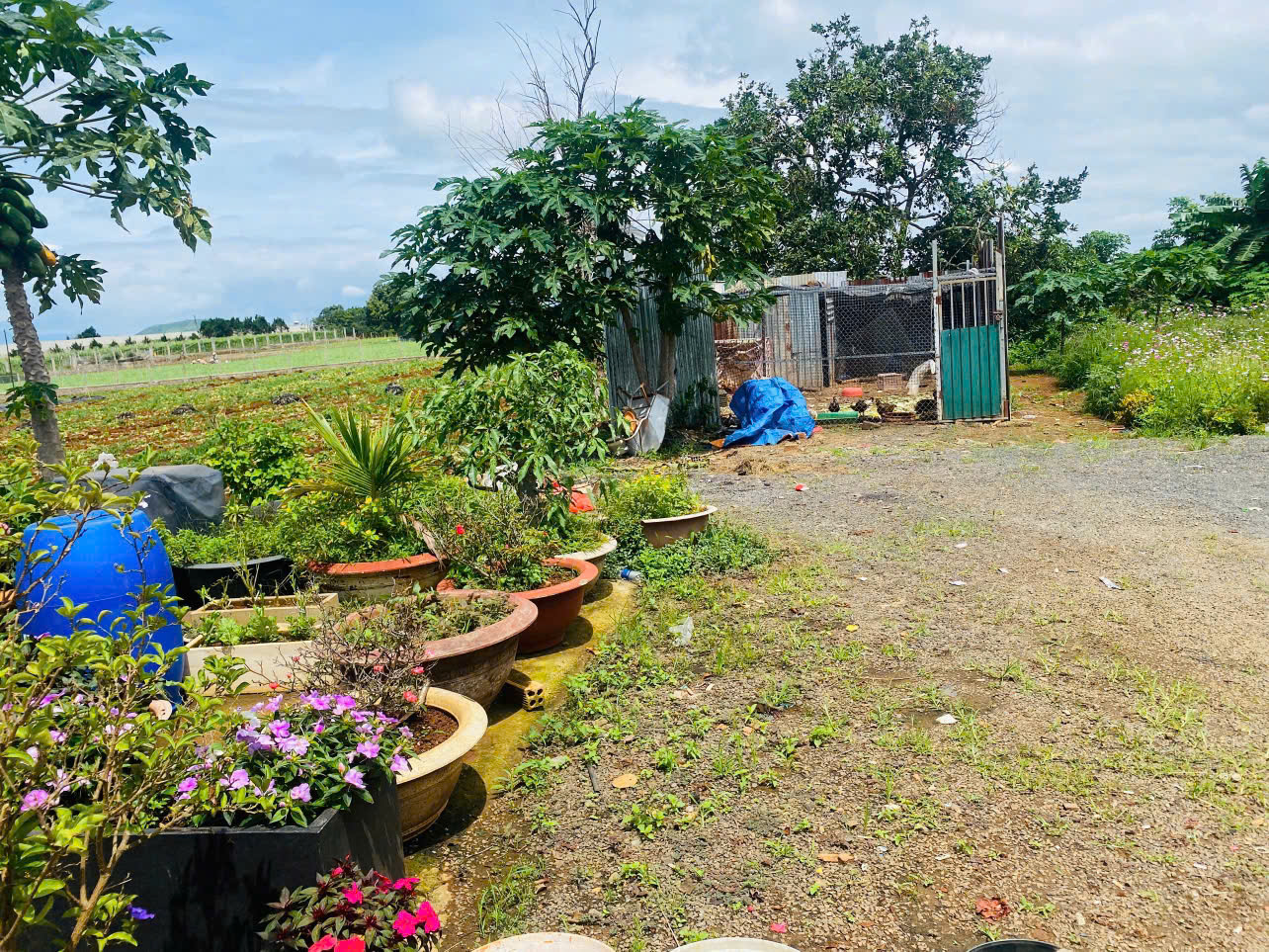 🌟RẺ nhất thị trường có 1 ko 2-Giảm cực sâu 900 TRIỆU - BÁN GẤP LÔ ĐẤT 369M² NGAY TT HÀNH CHÍNH ĐỨC TRỌNG