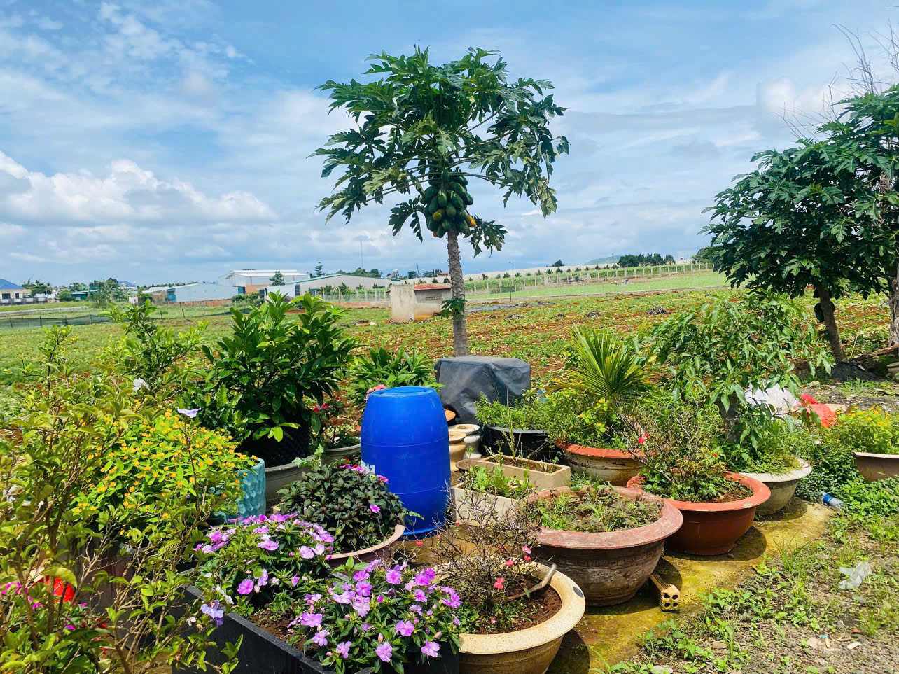 🌟RẺ nhất thị trường có 1 ko 2-Giảm cực sâu 900 TRIỆU - BÁN GẤP LÔ ĐẤT 369M² NGAY TT HÀNH CHÍNH ĐỨC TRỌNG-4