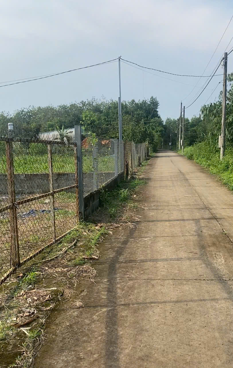 CHÍNH CHỦ CẦN BÁN LÔ ĐẤT CÓ VỊ TRÍ ĐẸP TẠI XÃ LONG AN - H. LONG THÀNH - ĐỒNG NAI.