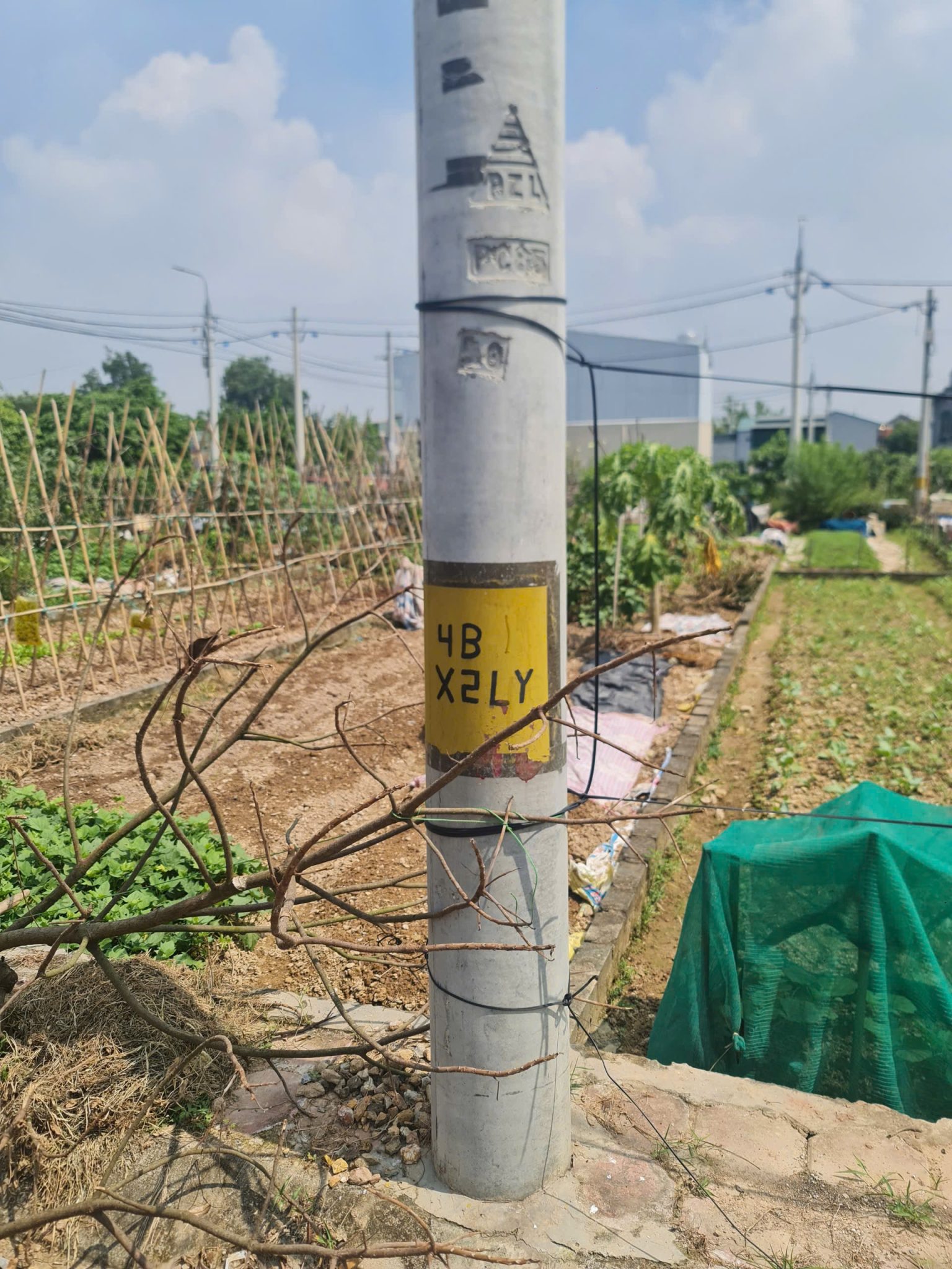LÔ ĐẤT HIẾM LẠI YÊN, HOÀI ĐỨC – GẦN HỒ, ĐƯỜNG Ô TÔ-3