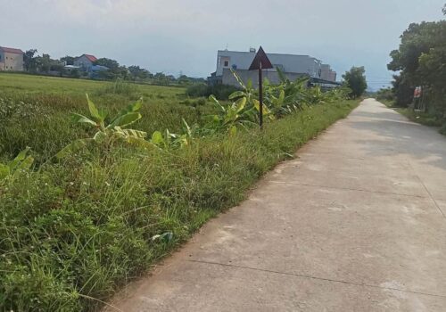 Chính chủ cần bán lô đất cạnh trường Tiểu học Đại Hoàng (xã Gia Trung cũ), Xã Đại Hoàng, Ninh Bình