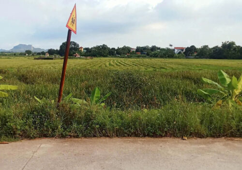 Chính chủ cần bán lô đất cạnh trường Tiểu học Đại Hoàng (xã Gia Trung cũ), Xã Đại Hoàng, Ninh Bình