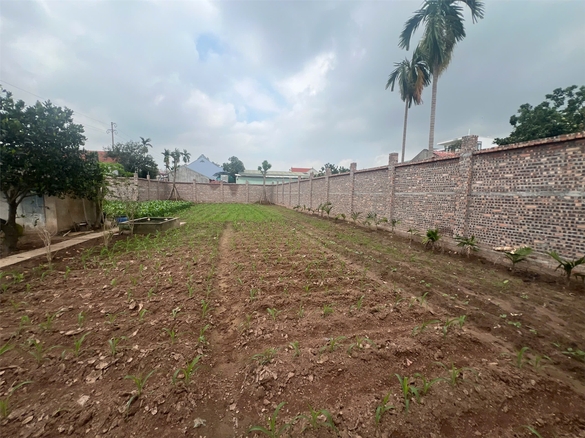 ĐẤT CHÍNH CHỦ- GIÁ TỐT BÁN NHANH LÔ ĐẤT VỊ TRÍ ĐẮC ĐỊA tại Huyện Khoái Châu, Hưng Yên-4