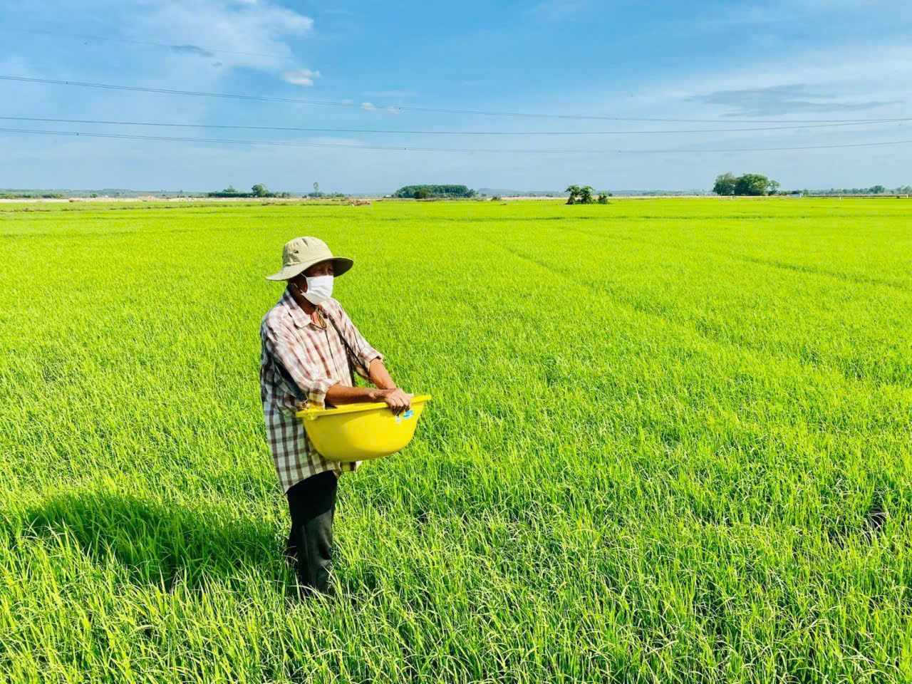 ĐẤT ĐẸP - GIÁ TỐT CẦN BÁN 51 CÔNG - ĐẤT TRỒNG LÚA 2 VỤ...TÂN LẬP - TỊNH BIÊN - AN GIANG
