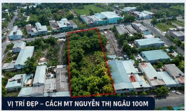 CHỦ GIẢM NGAY 1 TỶ – GIÁ CHÀO MỚI CHỈ 24 TỶ  ĐẤT VƯỜN 1/ BÙI THỊ LÙNG 1.943M²-3