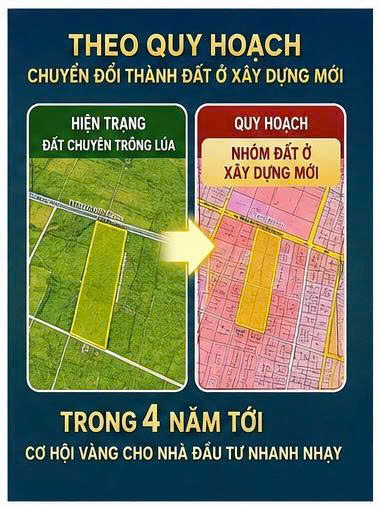 Đất 3.900m² Hóc Môn – Quy Hoạch Đất Ở, Cách Vành Đai 3 Chỉ 500m – Giá 25,2 Tỷ