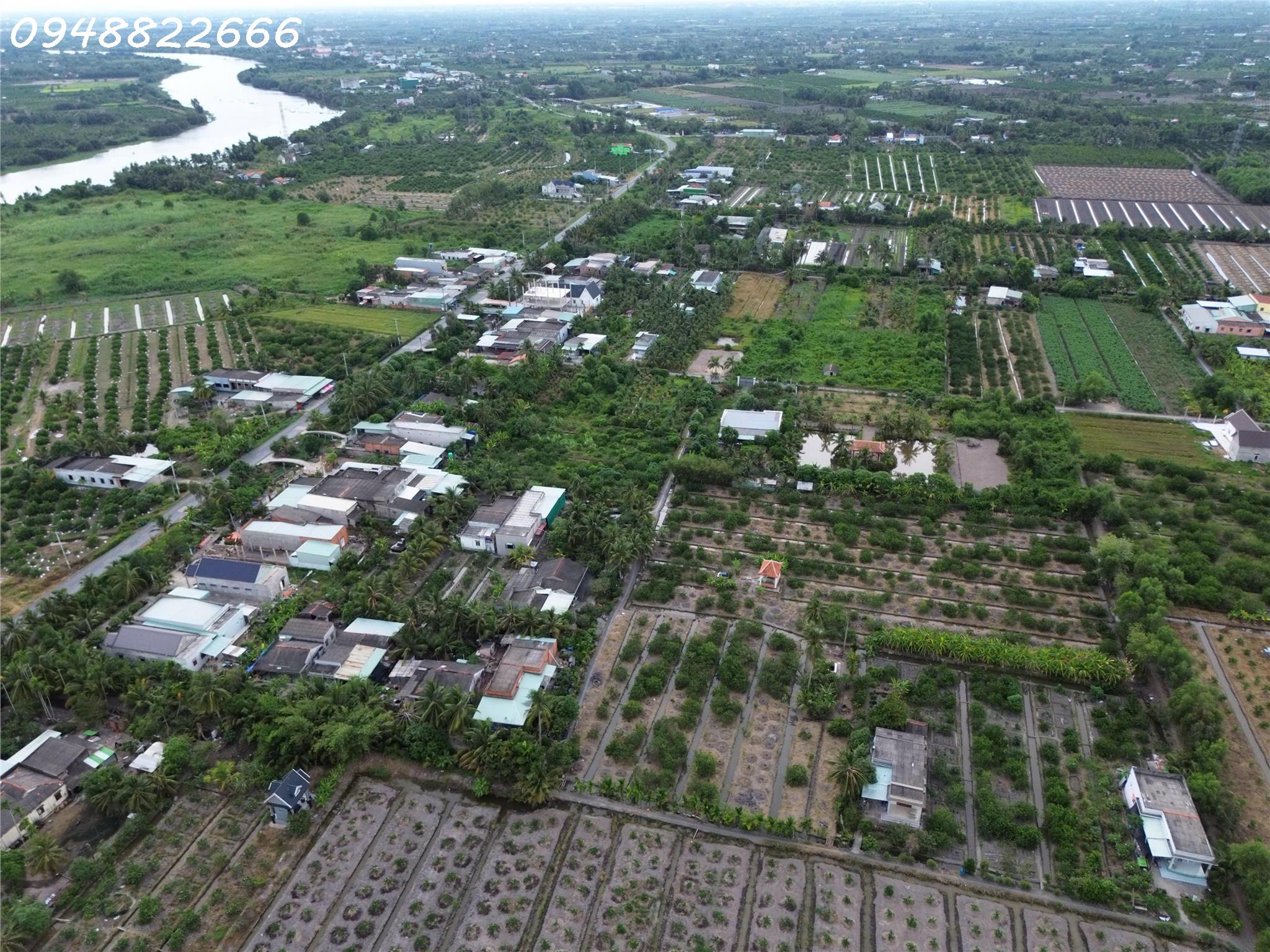 Siêu phẩm - Bán đất thổ cư siêu đẹp tại Ấp 5 Thạnh Hoà, Bến Lức, DT 195m2, giá đầu tư-3