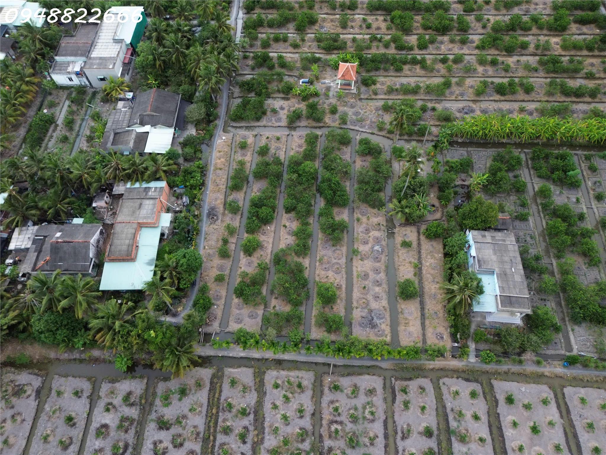 Siêu phẩm - Bán đất thổ cư siêu đẹp tại Ấp 5 Thạnh Hoà, Bến Lức, DT 195m2, giá đầu tư-4