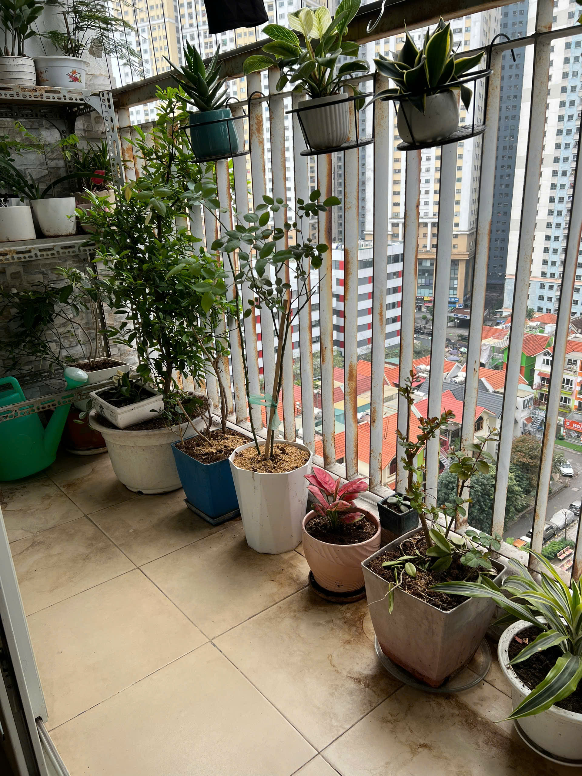 BÁN CĂN HỘ CHUNG CƯ THÔNG TẤN XÃ VIỆT NAM – PHƯỜNG ĐỊNH CÔNG, HOÀNG MAI