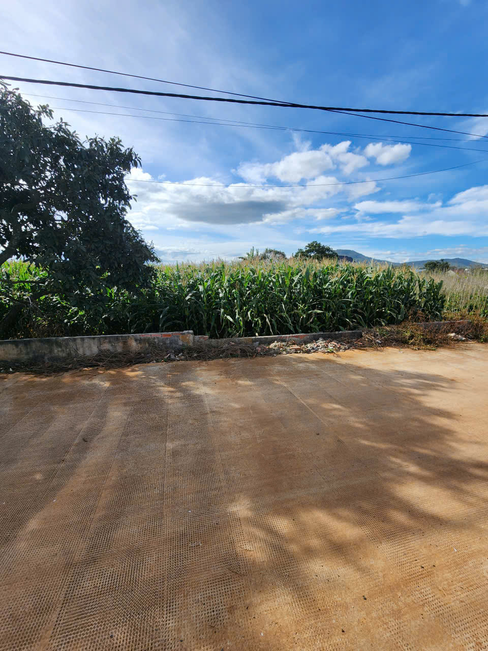 Bán 860m2 đất An Hiệp  Hiệp Thạnh Đức Trọng  Lâm Đồng Giá 5 tỷ 600 triệu