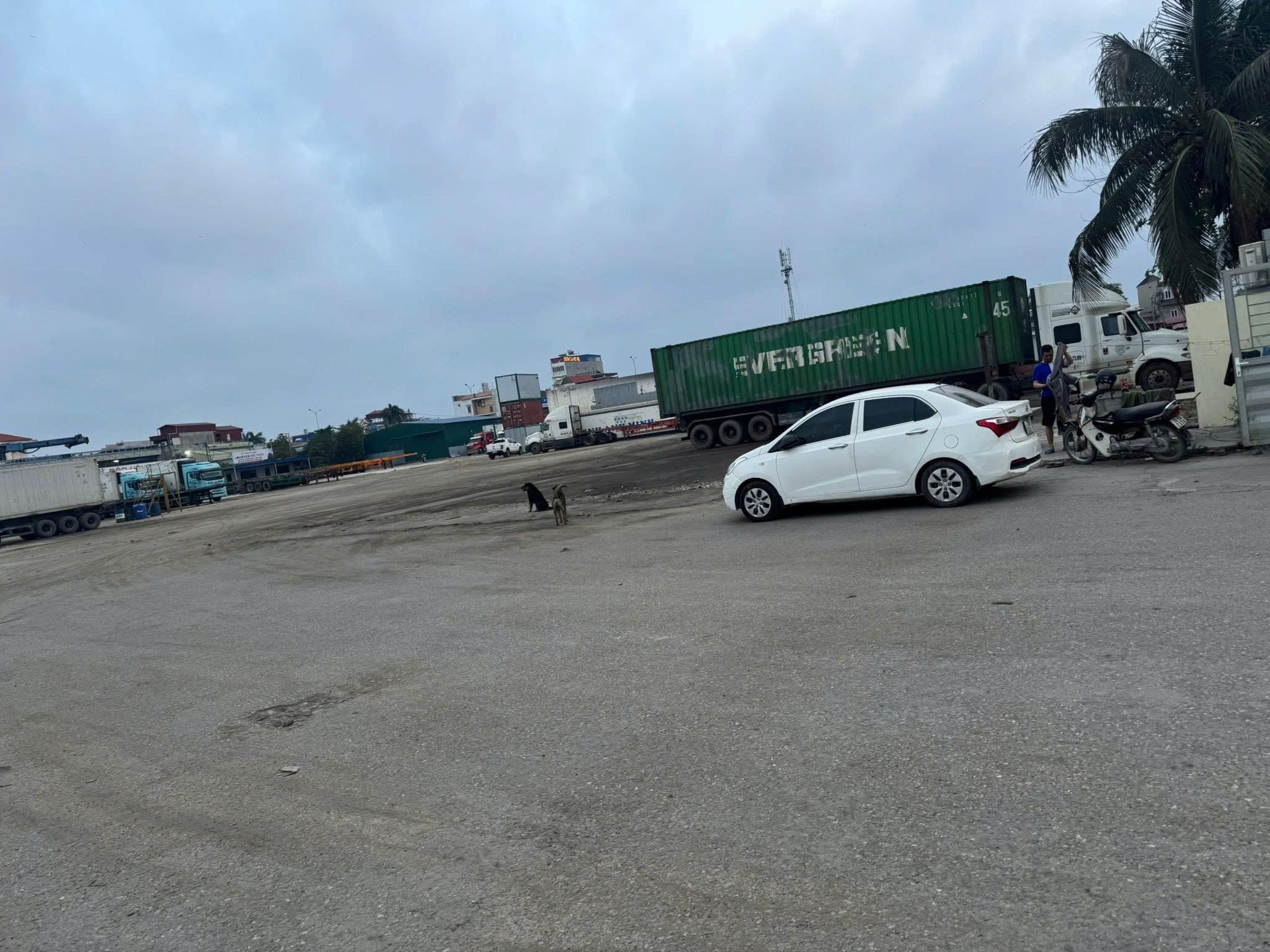 18. Cho thuê bãi Đường k9 Hạ Đoạn 2, Đông Hải, Hải An, HP