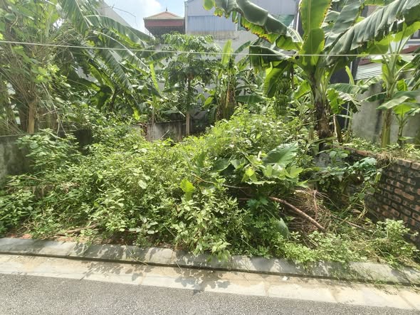 Ngay QL3, tầm 10m, Lô 85m2, mt5m, 5.x tỷ, Nguyên Khê, Đông Anh.