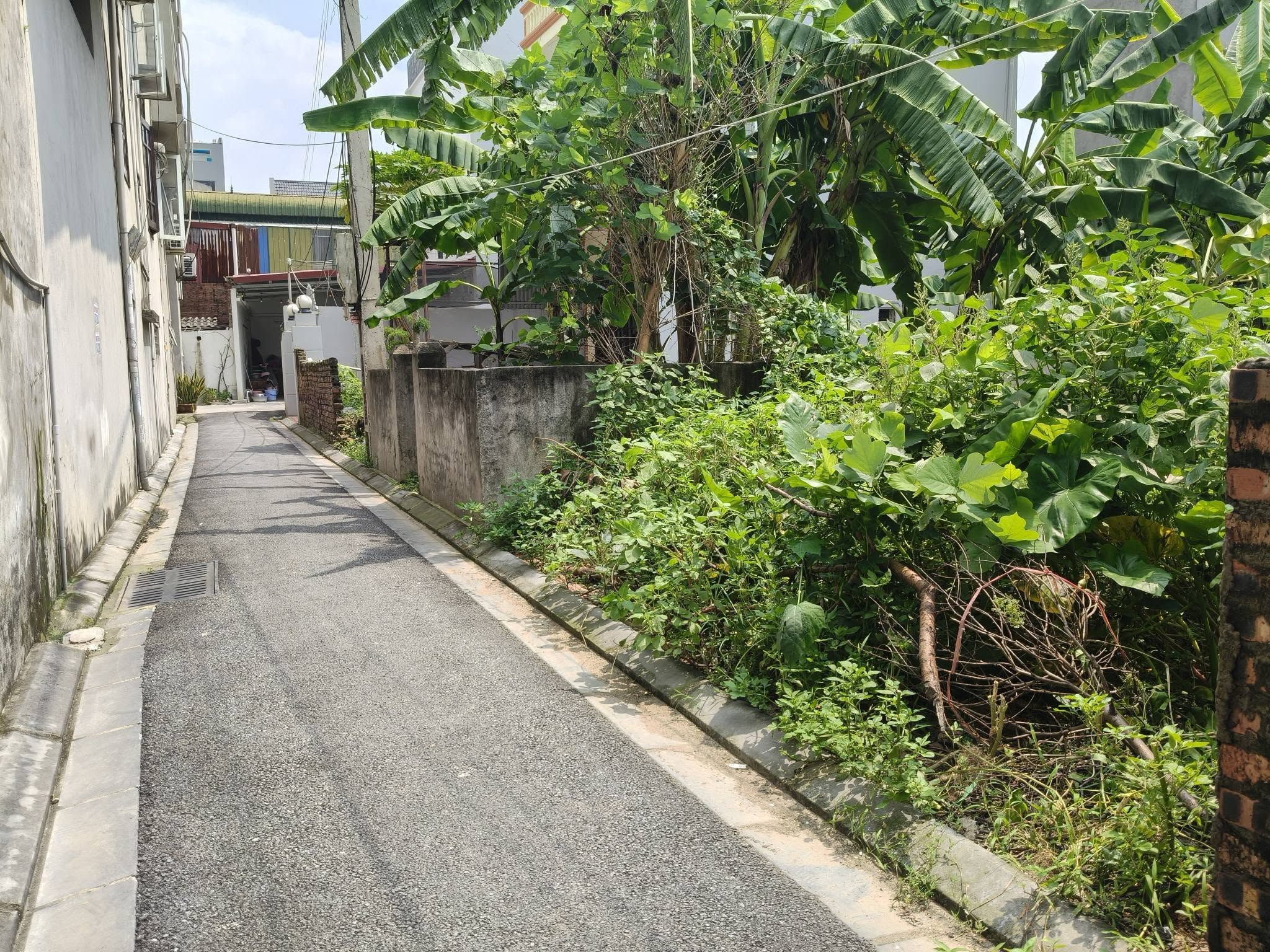 Ngay QL3, tầm 10m, Lô 85m2, mt5m, 5.x tỷ, Nguyên Khê, Đông Anh.