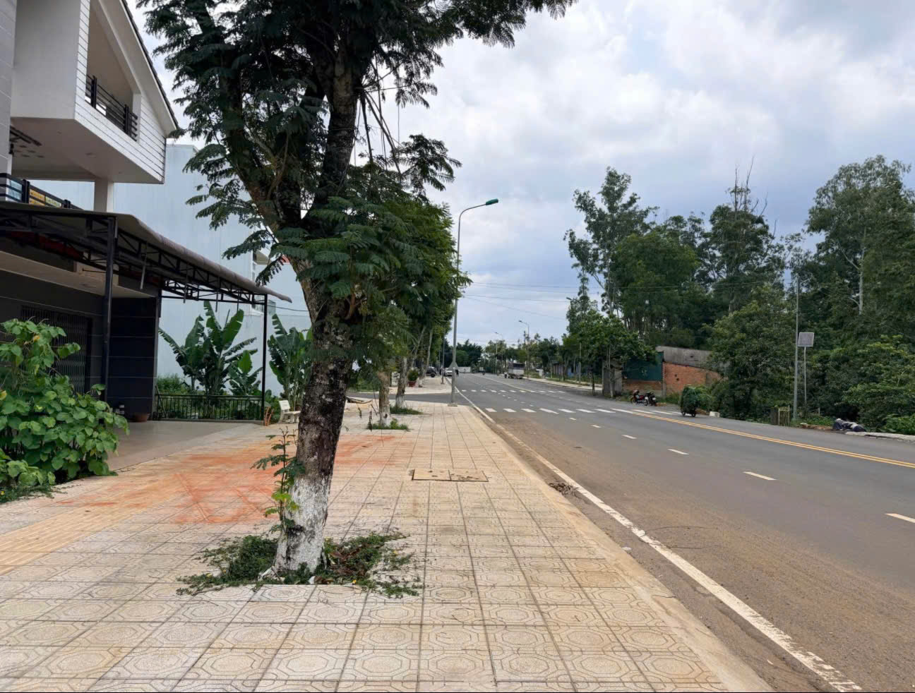 Đất chính chủ Hoàng Văn Thụ - Phường 1, 110m2 full thổ cư, gần Tôm Búng, chỉ 6,1 tỷ, đầu tư sáng giá