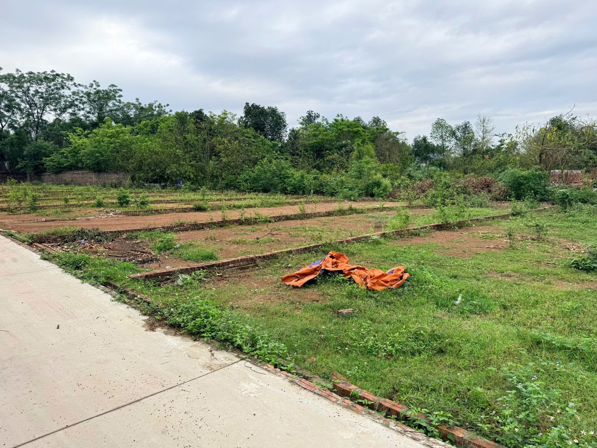 Em Dũng Land đang bán đất đẹp Thắng Hữu, Kim Anh, Hà Nội - Nhiều lựa chọn chỉ từ hơn 2 tỷ đồng