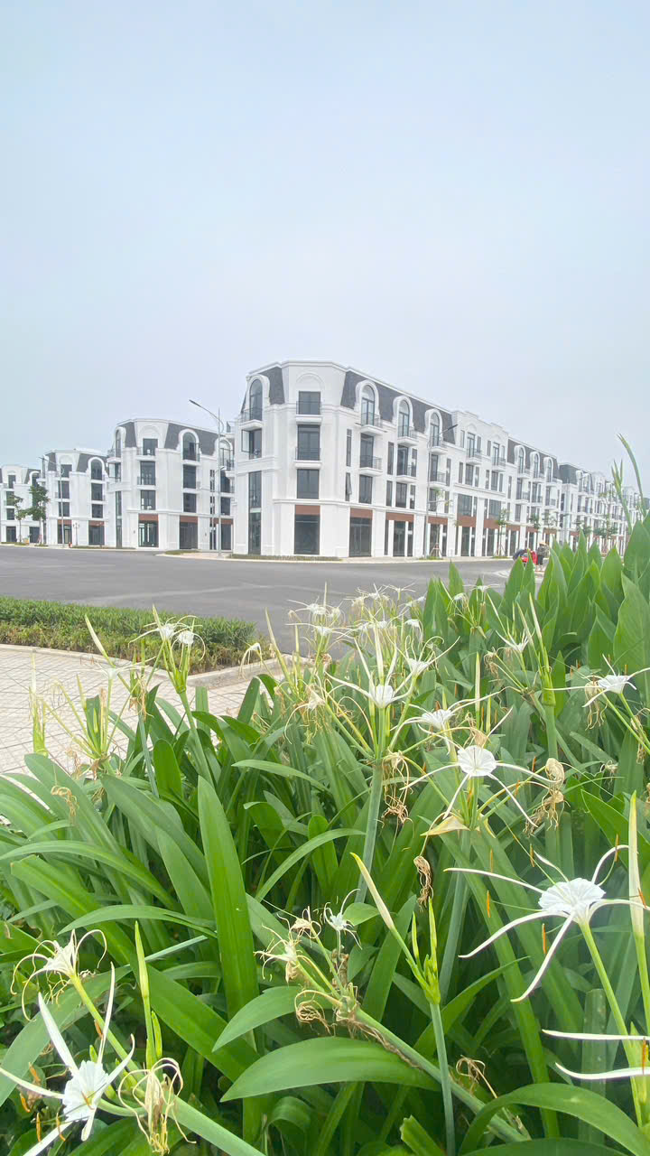 Thật không thể tin nổi chỉ 800tr ký ngay hợp đồng mua bán căn hộ 96m2 tại dự án Vlasta -4