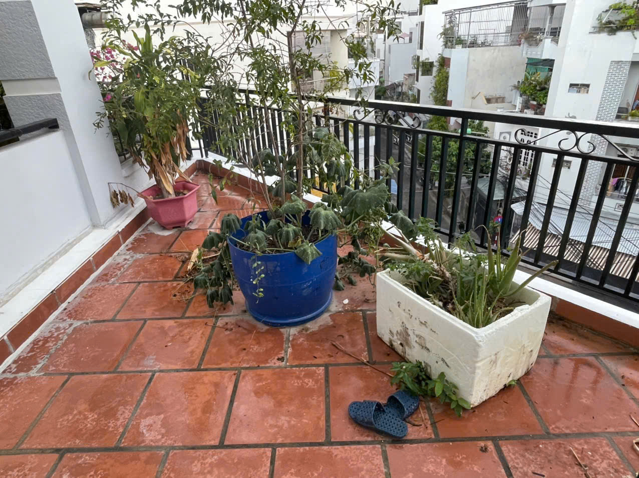 NHÀ BÁN – CĂN GÓC NGÔ ĐỨC KẾ, PHUƯỜNG NHA TRANG ,
Căn góc đẹp, ôm cua 2 mặt tiền rộng 17m, vị trí thoáng, dễ kinh doanh.

Diện tích sàn: 180m² - Giá bán: 11 tỷ (còn thương lượng) -  Liên hệ: 0905 724 084-4