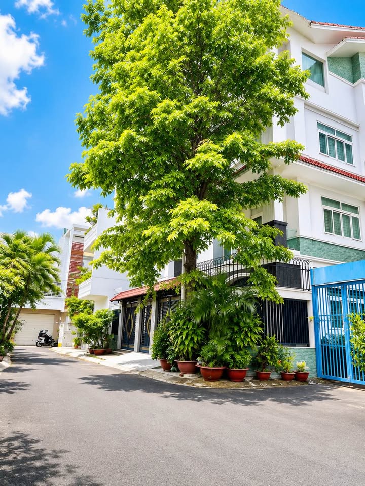 LÔ GÓC GÒ DẦU – VIEW CÔNG VIÊN – ĐƯỜNG 8M THÔNG – 4 TẦNG 74M² NGANG 4.5 CHỈ 11