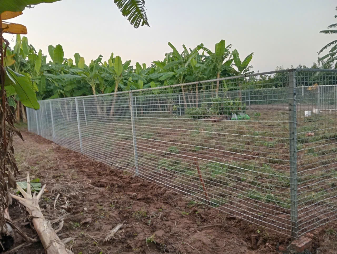 Cần Bán Nhanh Lô Đất Vị Trí Đắc Địa Tại Đồng Lư, Đồng Quang, Quốc Oai, TP Hà Nội