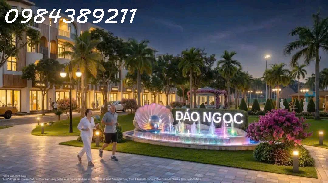 Bán biệt thự Đảo Ngọc, View Biển - Vinhomes Hải Vân Bay - Sổ Đỏ Lâu Dài, giá CĐT-3