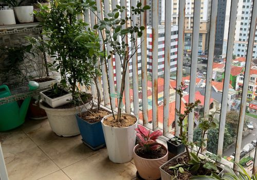 BÁN CĂN HỘ CHUNG CƯ THÔNG TẤN XÃ VIỆT NAM, ĐỊNH CÔNG, HÀ NỘI-4