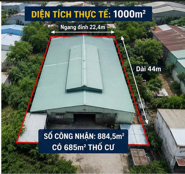 Bán gấp Đất 1000m2 Trần Văn Mười, Hóc Môn. Dòng tiền tốt, giá 28 tỷ.