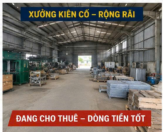 Bán gấp Đất 1000m2 Trần Văn Mười, Hóc Môn. Dòng tiền tốt, giá 28 tỷ.