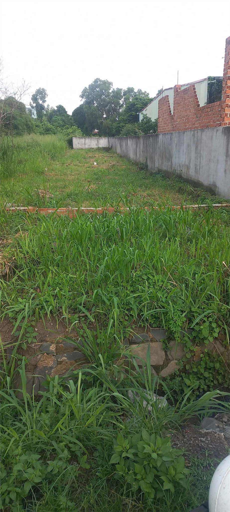 ĐẦU TƯ SINH LỜI – CHÍNH CHỦ CẦN BÁN ĐẤT Tại Xã Châu Pha,  thị xã Phú Mỹ, tỉnh Bà Rịa – Vũng Tàu