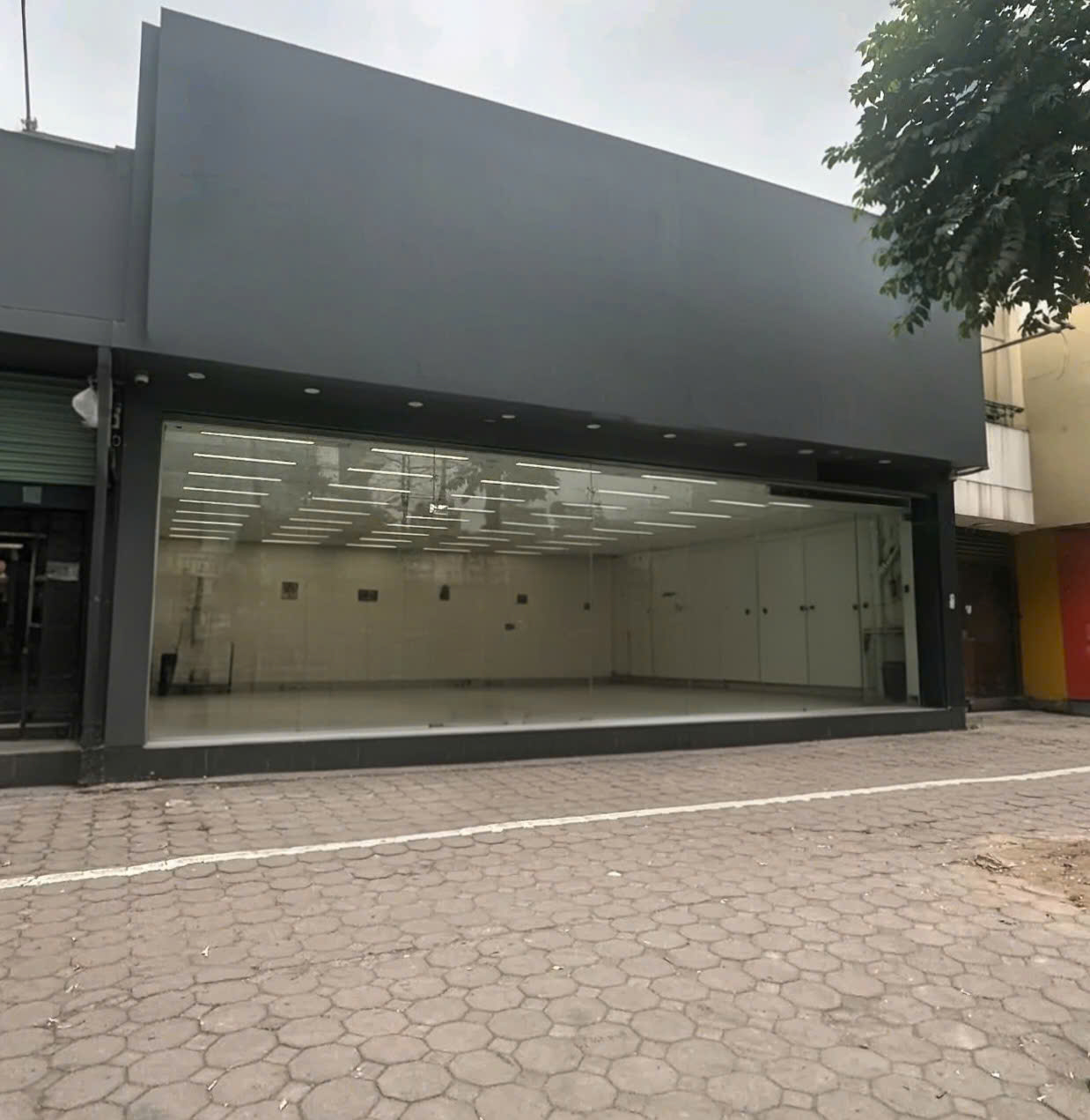 Cho thuê nhà, Trung Hòa, Vũ Phạm Hàm, Trần Kim Xuyến; 175m2* 1T -33 tr