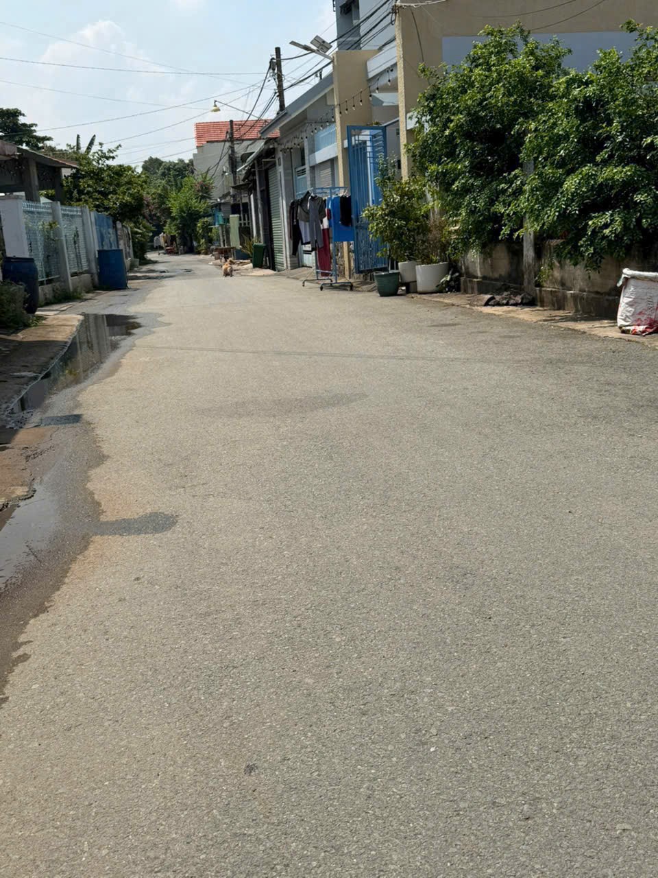 ĐẦU TƯ SINH LỜI – CHÍNH CHỦ CẦN BÁN ĐẤT TẶNG NHÀ Tại Phường Hoá An, Thành phố Biên Hòa, Đồng Nai-4