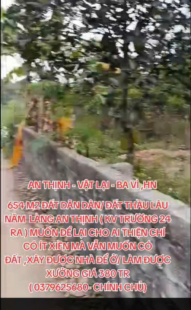 MẢNH ĐẤT GIÁ HỜI - BÁN NHANH LÔ ĐẤT DÃN DÂN /TRỒNG CÂY LÂU NĂM - ĐẦU TƯ LÀ SINH LỜI TẠI h. Ba vì HN-3