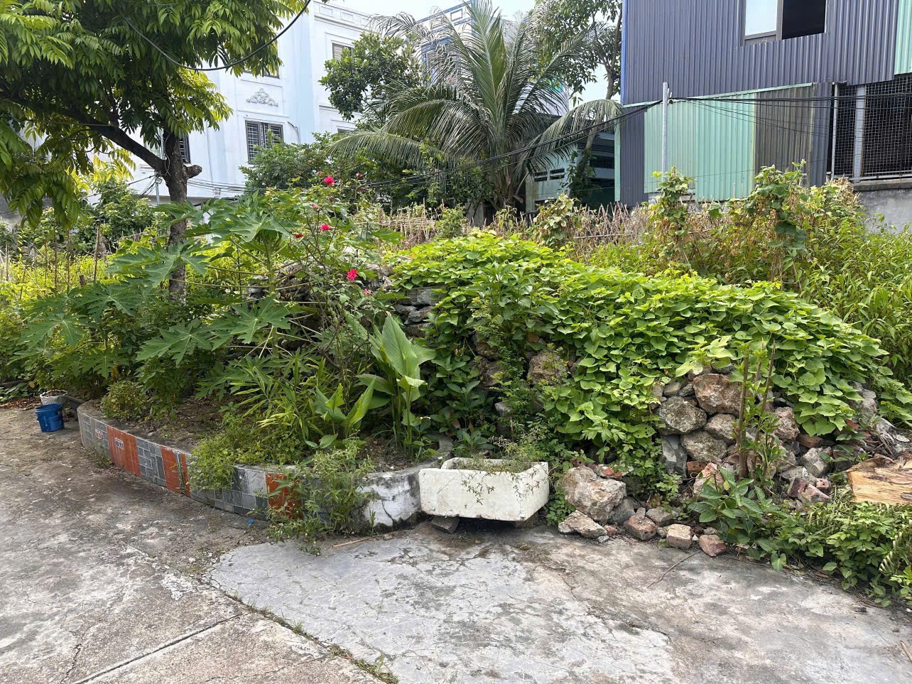 ĐẤT CHÍNH CHỦ - GIÁ TỐT Tại Đường Cát Linh, Phường Tràng Cát, Quận Hải An, Hải Phòng