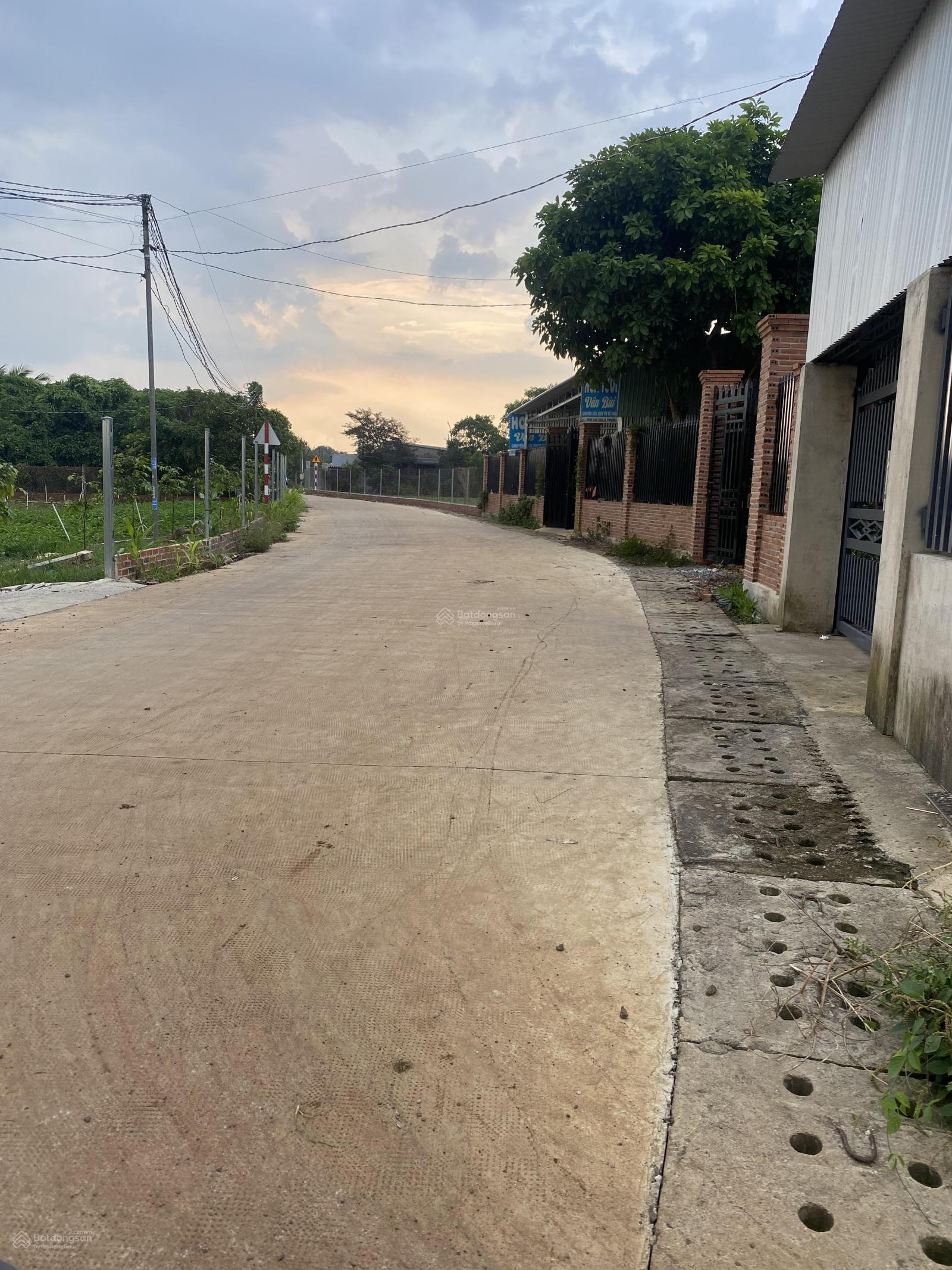 CHÍNH CHỦ BÁN 9300M2 ĐẤT SẴN SỔ MẶT TIỀN XÃ LỘ 25-THỐNG NHẤT-3