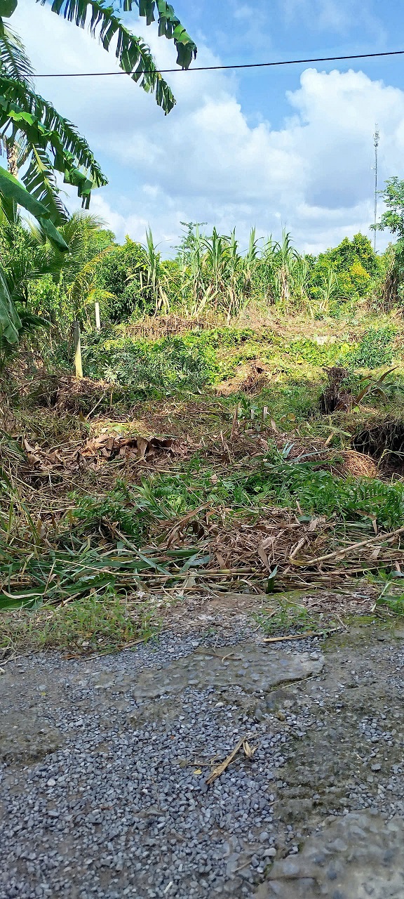 BÁN NỀN THỔ CƯ GIÁ CHỈ 460 TRIỆU – GẦN CẦU TRÀ NIỀN, PHONG ĐIỀN, CẦN THƠ