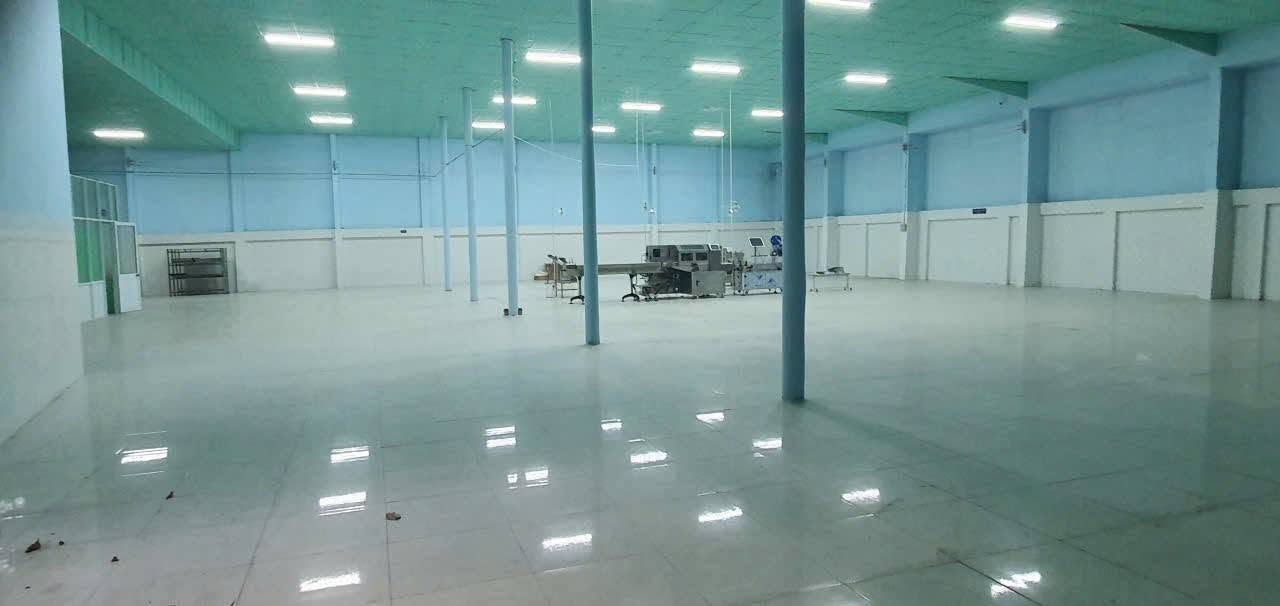 CHO THUÊ KHO XƯỞNG MẶT TIỀN TL8 TÂN THẠNH ĐÔNG 2000M2 45TR