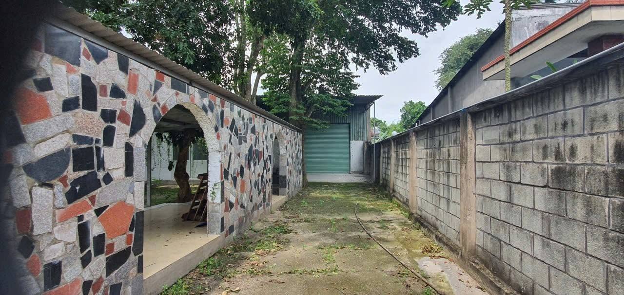 CHO THUÊ KHO XƯỞNG MẶT TIỀN TL8 TÂN THẠNH ĐÔNG 2000M2 45TR-4