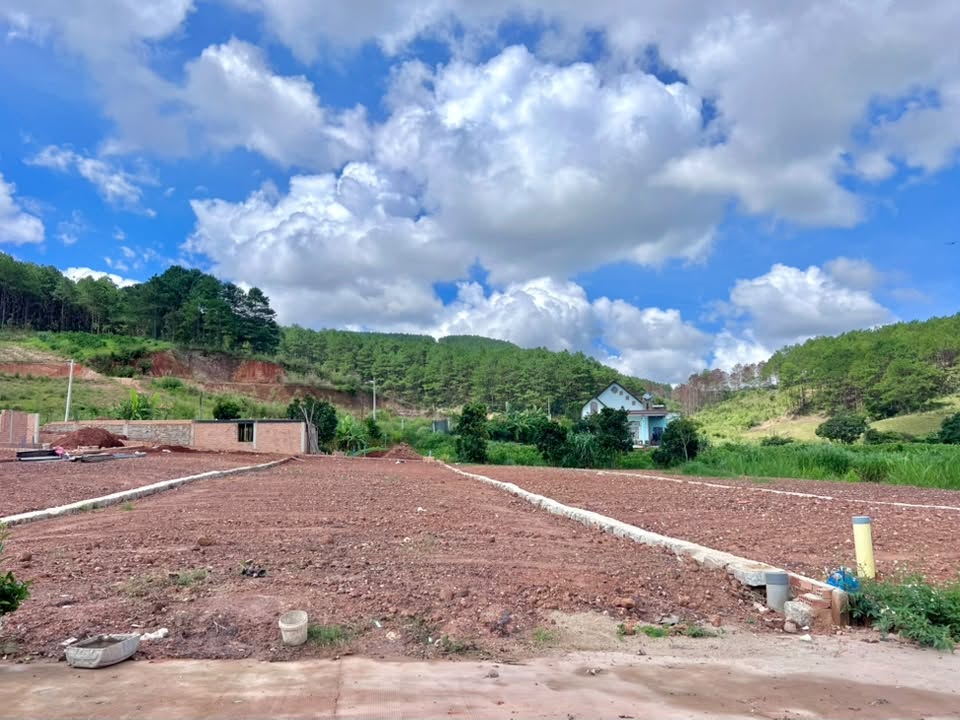 Cần Bán Đất 542m² Có 200m² Thổ Cư Giữa Đồi Thông, Lý Tưởng Xây Nhà Vườn