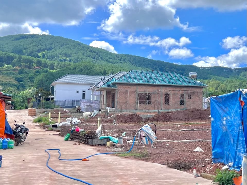 Cần Bán Đất 542m² Có 200m² Thổ Cư Giữa Đồi Thông, Lý Tưởng Xây Nhà Vườn