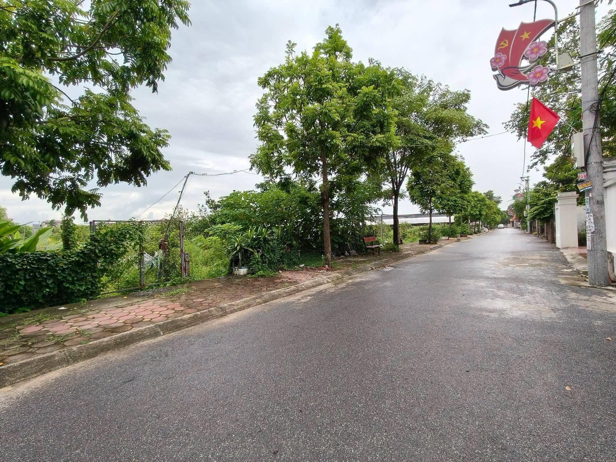 Đất ruộng SXNN, 1040m2, mt35m, xe container, vỉa hè, 1.5 tỷ, Đông Anh.-3